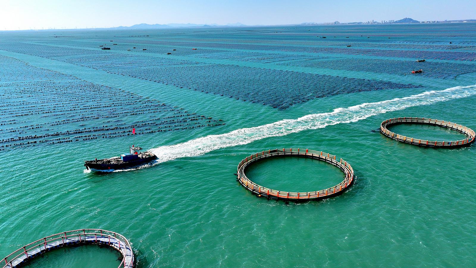 Xi Jinping przewodniczył szóstej sesji Centralnej Komisji Ekonomicznej